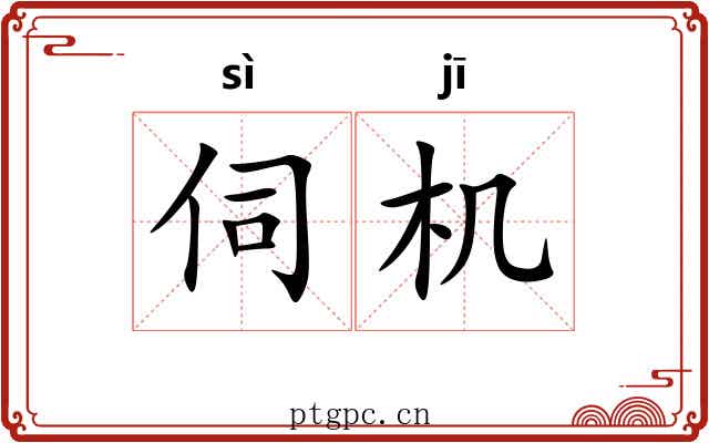 伺机 伺机