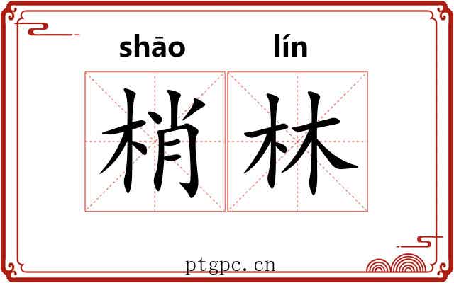 梢林