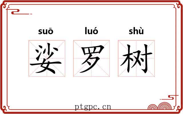娑罗树 娑罗树