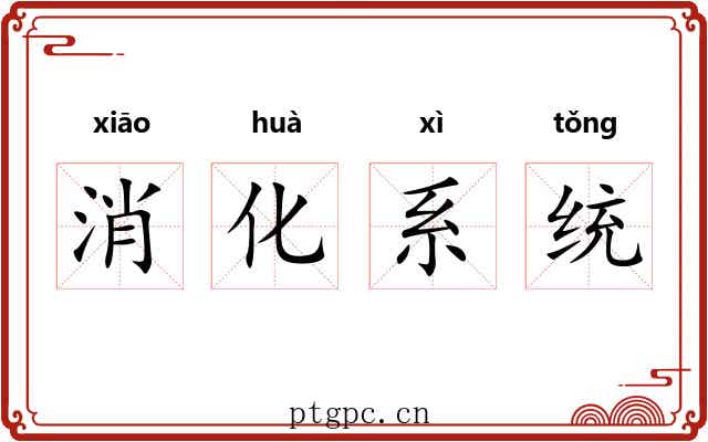 消化系统 消化系统
