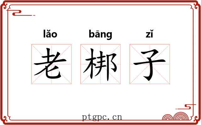 老梆子 老梆子
