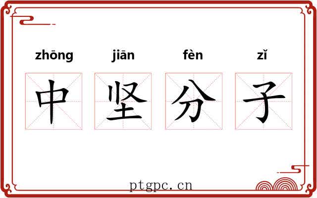 中坚分子