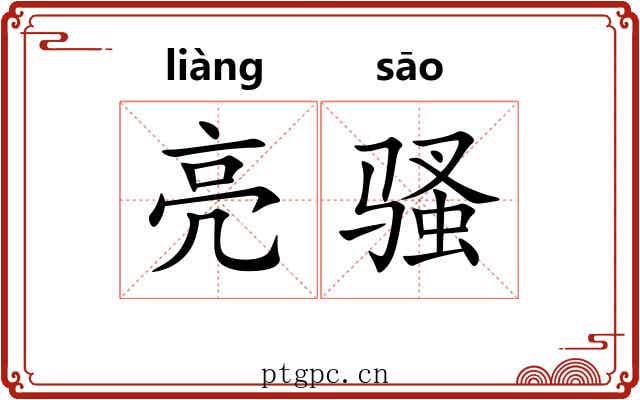 亮骚 亮骚