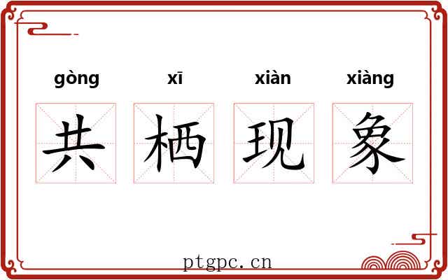共栖现象 共栖现象