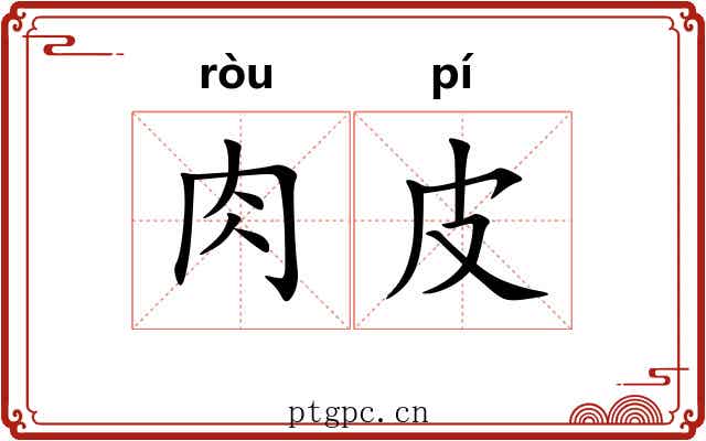 肉皮 肉皮
