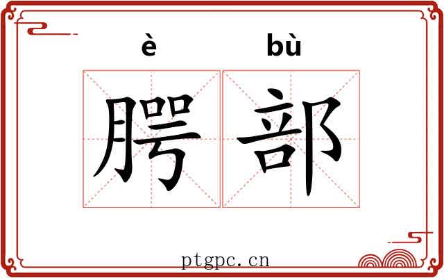 腭部
