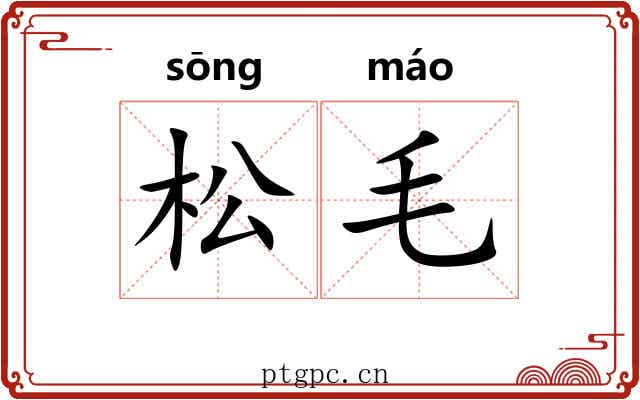 松毛 松毛
