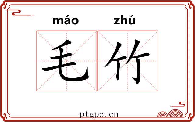 毛竹 毛竹