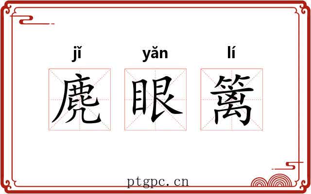 麂眼篱 麂眼篱