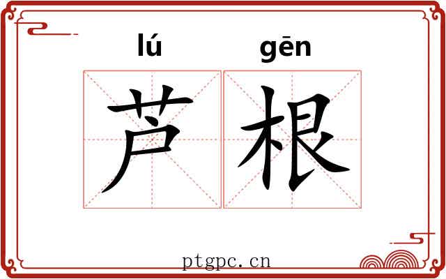 芦根 芦根