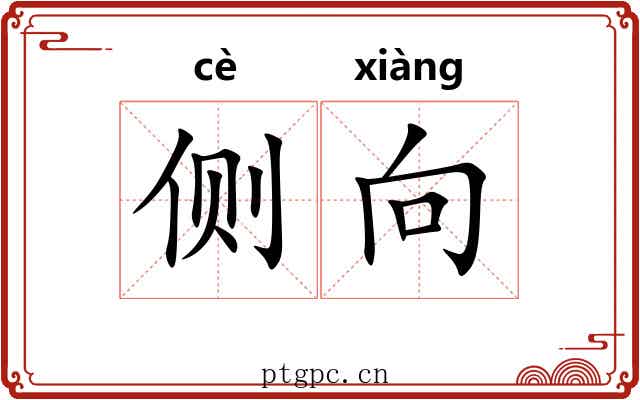 侧向 侧向