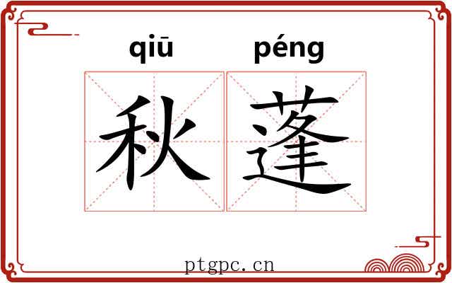 秋蓬 秋蓬