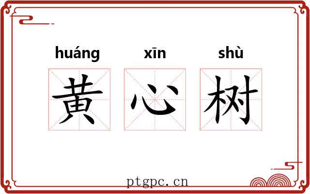 黄心树 黄心树