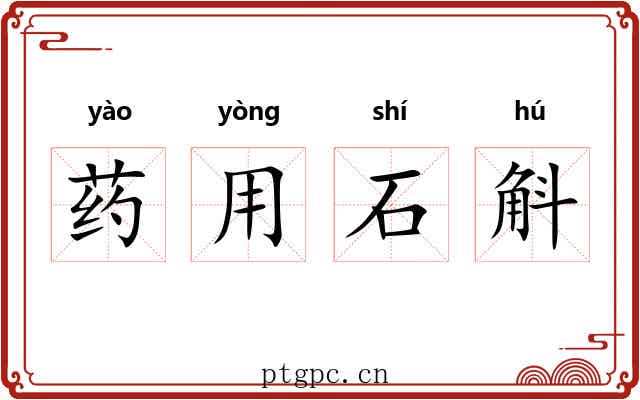 药用石斛 药用石斛