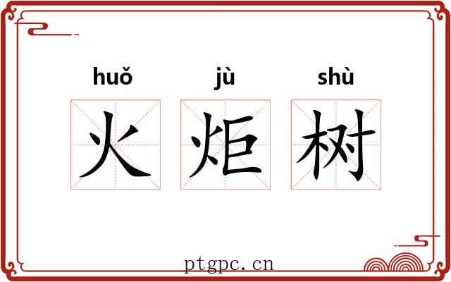 火炬树 火炬树