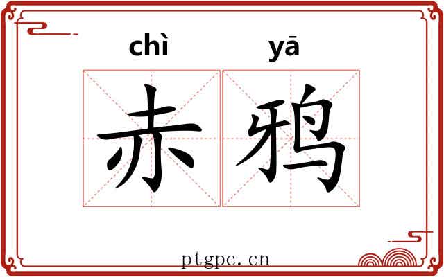 赤鸦