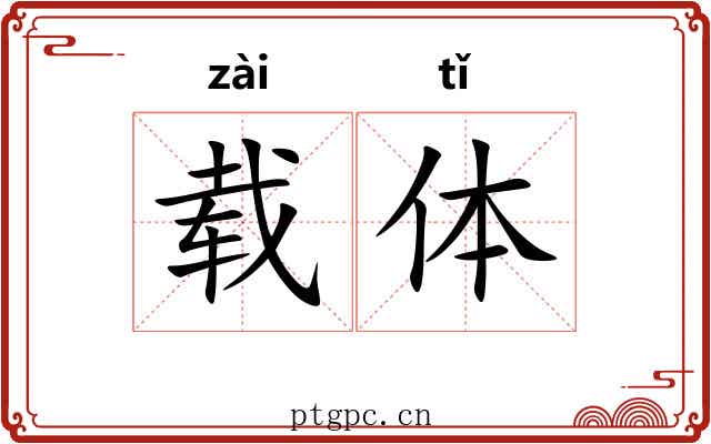 载体
