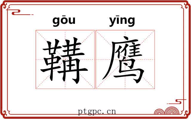 鞲鹰