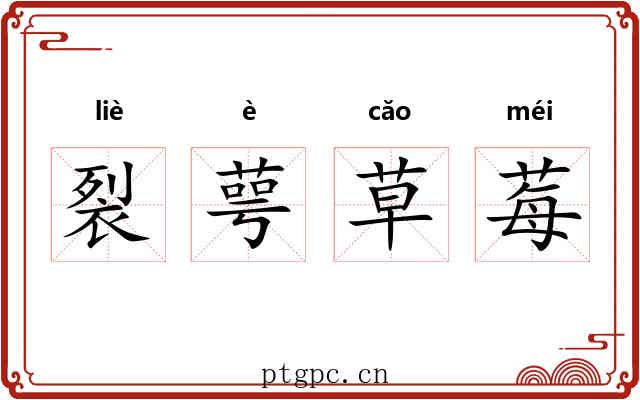 裂萼草莓 裂萼草莓