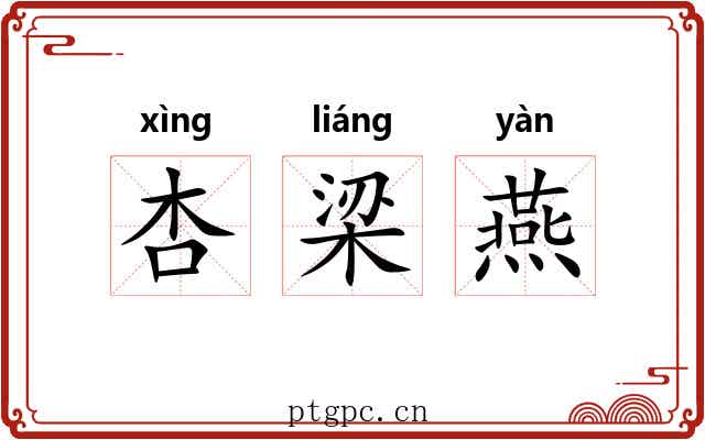 杏梁燕 杏梁燕