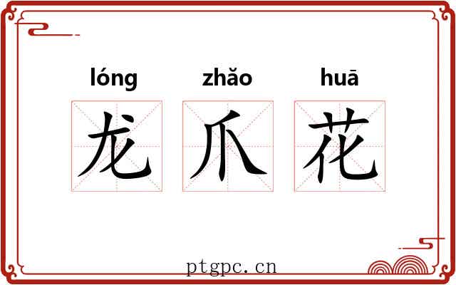 龙爪花 龙爪花