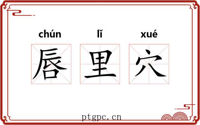 唇里穴