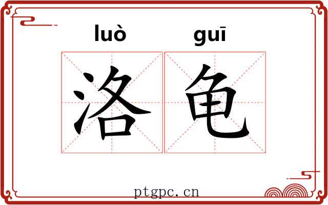 洛龟