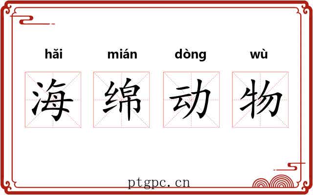 海绵动物 海绵动物