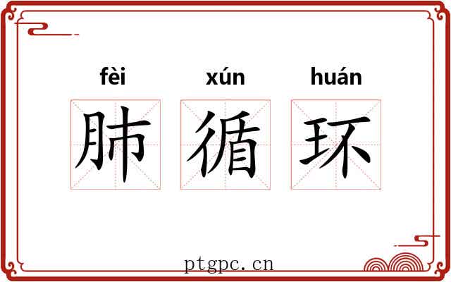 肺循环
