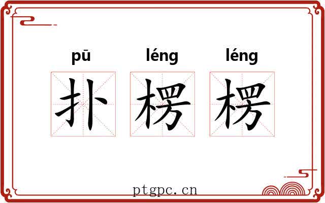 扑楞楞
