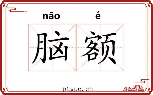 脑额 脑额