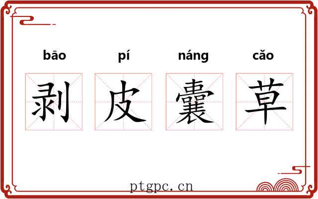 剥皮囊草