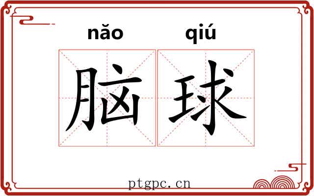 脑球 脑球