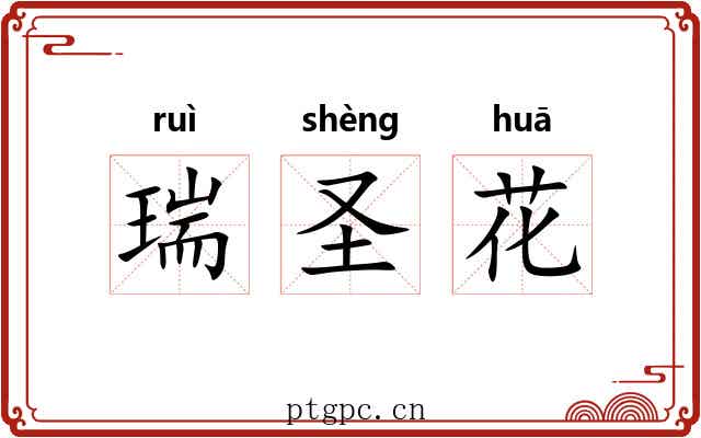 瑞圣花 瑞圣花
