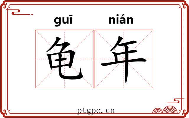 龟年 龟年