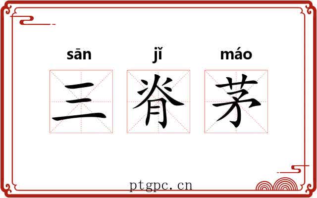 三脊茅