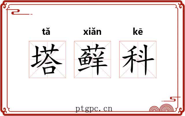 塔藓科 塔藓科