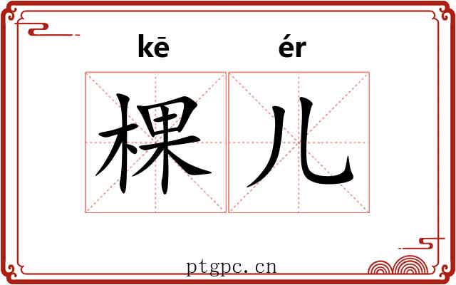 棵儿