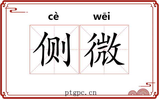 侧微 侧微