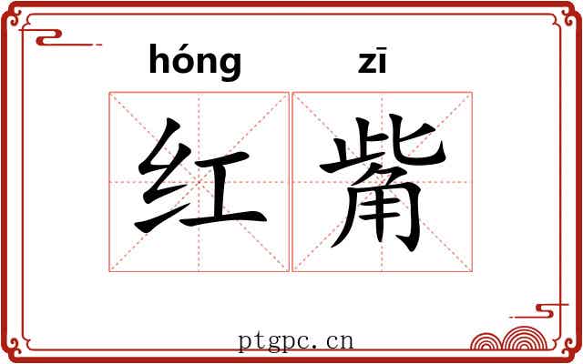 红觜 红觜