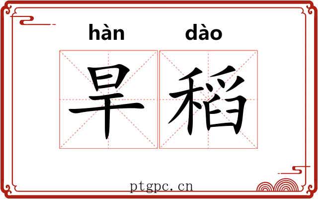 旱稻