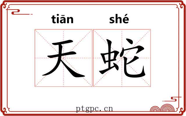 天蛇 天蛇