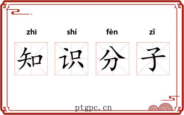 知识分子 知识分子
