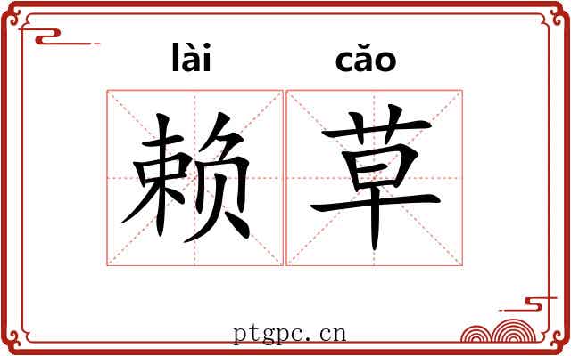 赖草
