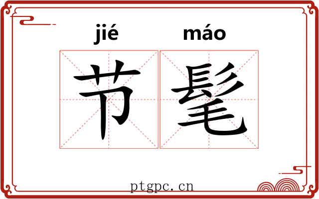 节髦
