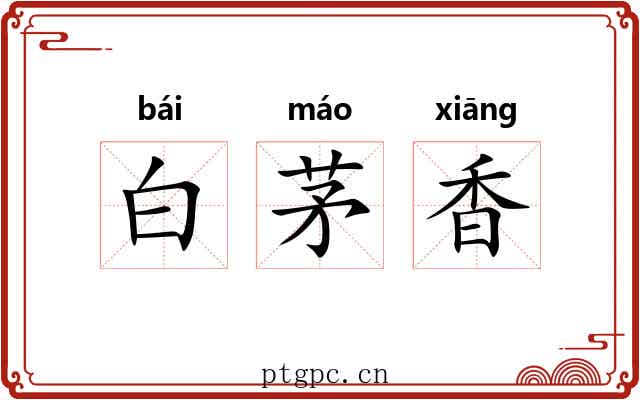 白茅香