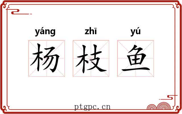 杨枝鱼 杨枝鱼