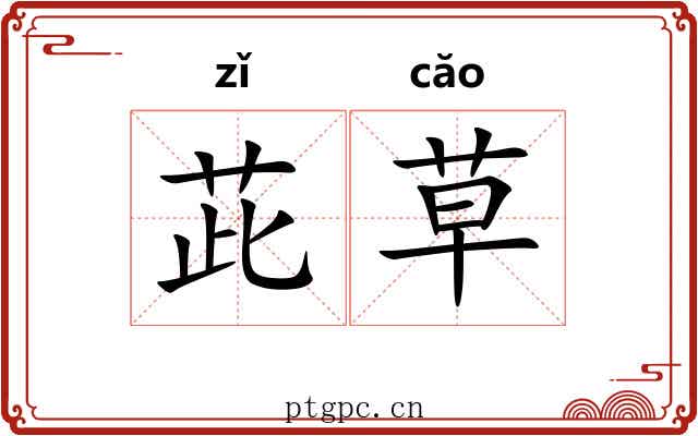 茈草 茈草