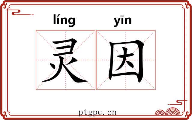 灵因