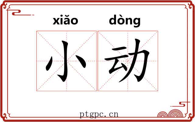 小动 小动